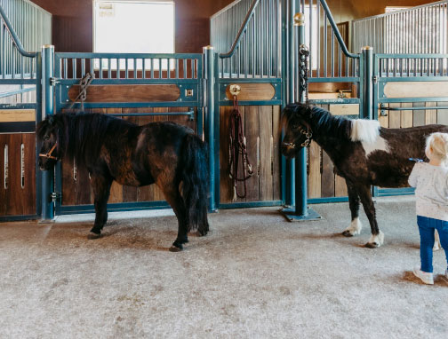 Biohof Greflgut - Urlaub am Bauernhof