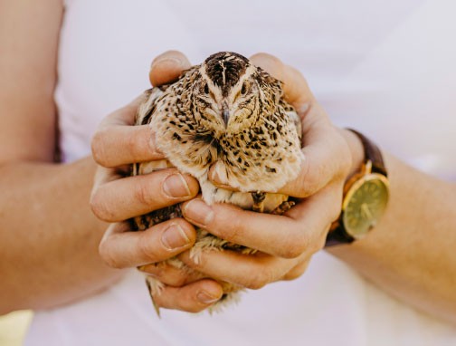 Biohof Greflgut - Urlaub am Bauernhof