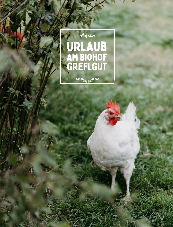 Biohof Greflgut - Urlaub am Bauernhof