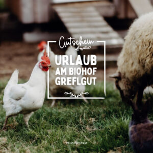 Biohof Greflgut - Gutschein Urlaub am Bauernhof