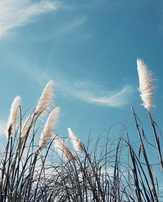Biohof Greflgut - Erholung in der Vitalkabine
