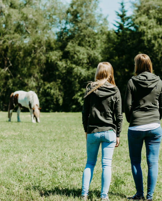 Mein Waldboden - Waldbodeneinstreu Biohof Greflgut