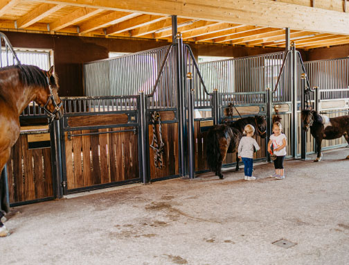 Urlaub am Biobauernhof Greflgut im Salzkammergut