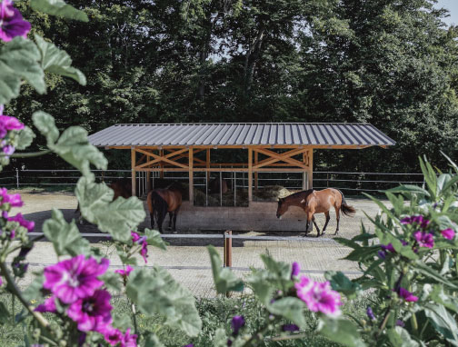 Urlaub am Biobauernhof Greflgut im Salzkammergut