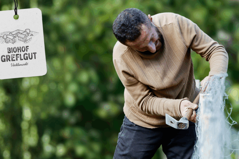 Website_Banner_Handwerker