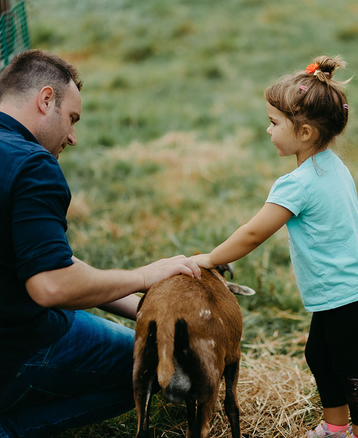 Tiere am Biohof Greflgut