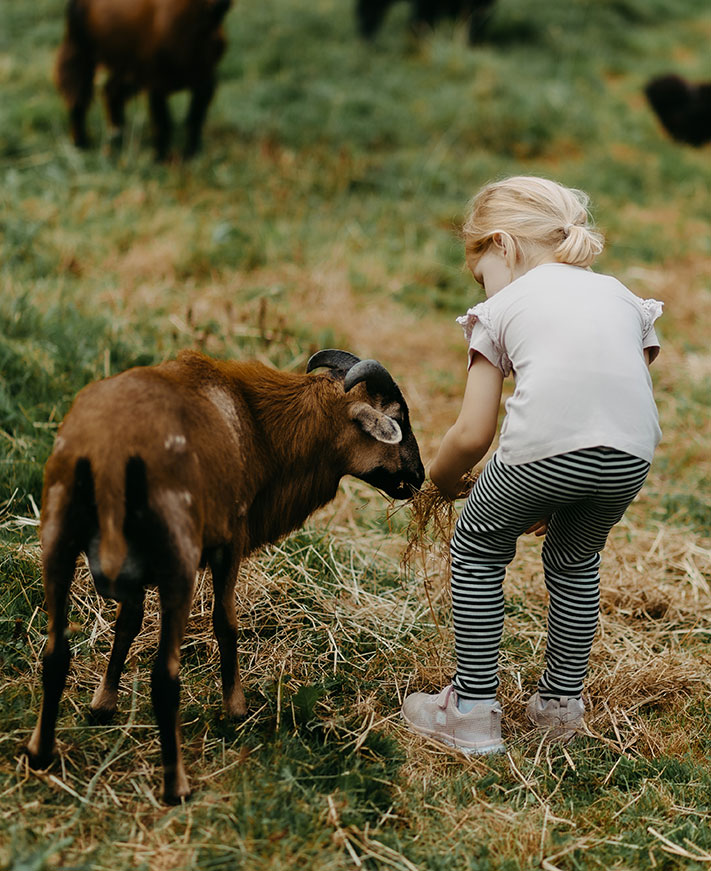 Tiere am Biohof Greflgut