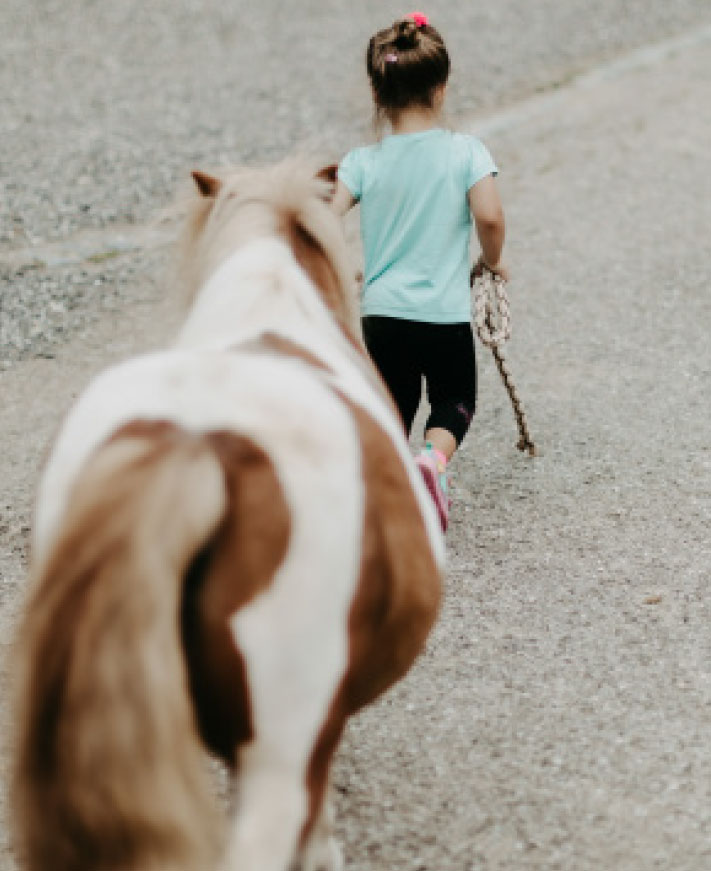 Ponyreiten am Pferdehof Greflgut im Salzkammergut nähe Attersee