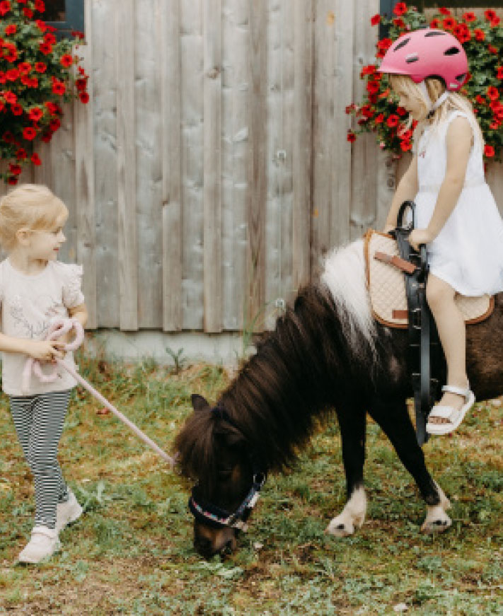 Ponyreiten am Pferdehof Greflgut im Salzkammergut nähe Attersee
